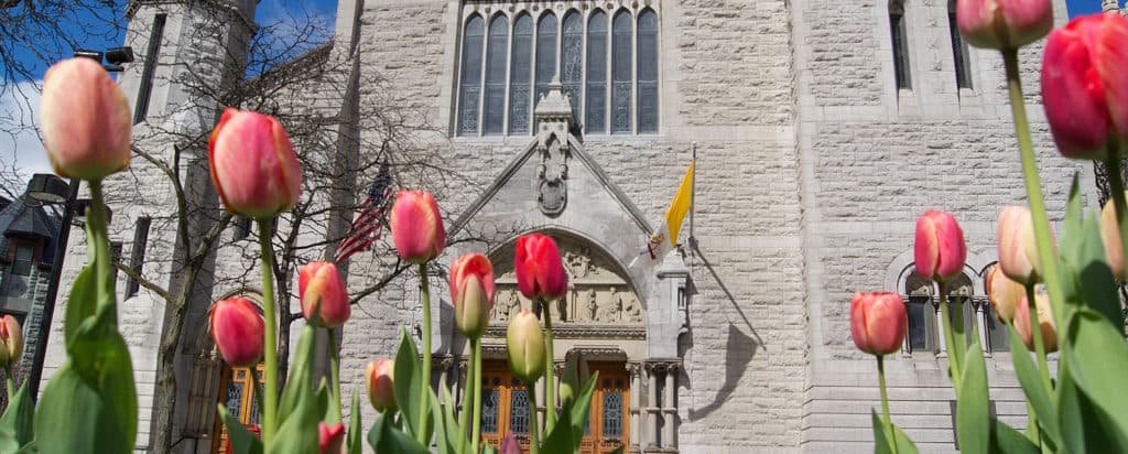 Cathedral of the Immaculate Conception