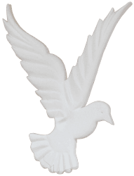 Spirit of Promise Ministries