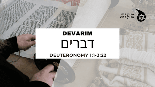 Congregation Mayim Chayim